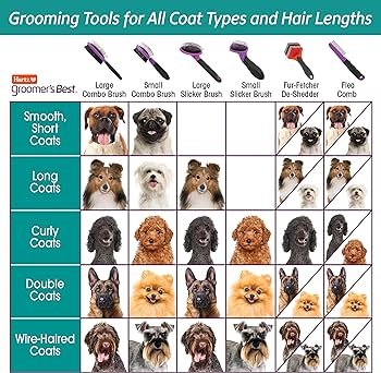 Best Grooming Tools for Long-Haired Breeds Best Grooming Tools for Long-Haired Breeds
