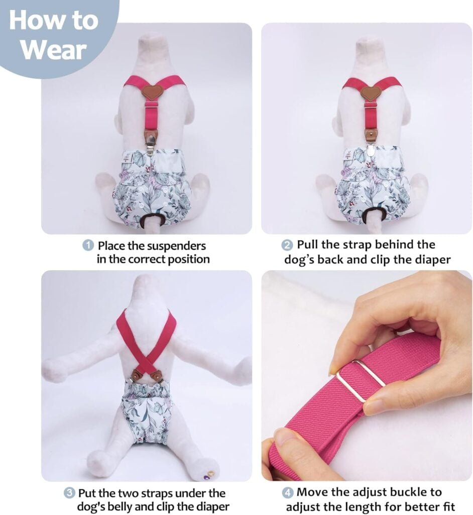 CuteBone Dog Diapers Female 3 Pack Reusable Doggy Diapers with One Suspender for Small Medium Large Dog Period BDD01L