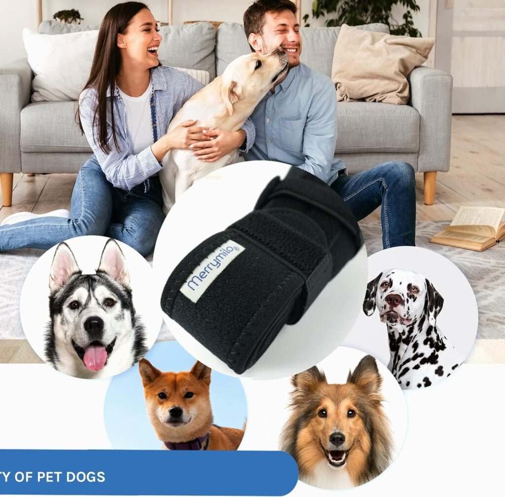 Dog Knee Brace, Support for Large and Small Dogs with ACL, CCL, Cruciate Ligament Injuries, Patella Dislocation, or Osteoarthritis for Both Back and Front Legs, Size: XL Dog Knee Brace, Support for Large and Small Dogs with ACL, CCL, Cruciate Ligament Injuries, Patella Dislocation, or Osteoarthritis for Both Back and Front Legs, Size: XL