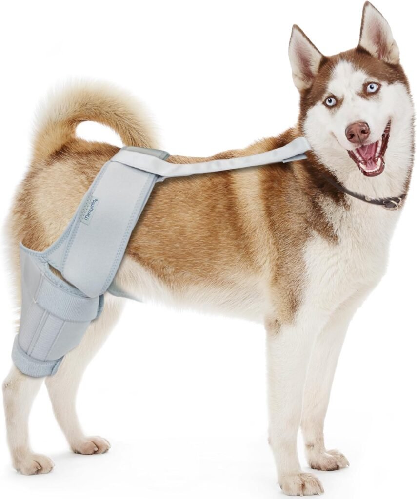 Dog Knee Brace, Support for Large and Small Dogs with ACL, CCL, Cruciate Ligament Injuries, Patella Dislocation, or Osteoarthritis for Both Back and Front Legs, Size: XL Dog Knee Brace, Support for Large and Small Dogs with ACL, CCL, Cruciate Ligament Injuries, Patella Dislocation, or Osteoarthritis for Both Back and Front Legs, Size: XL