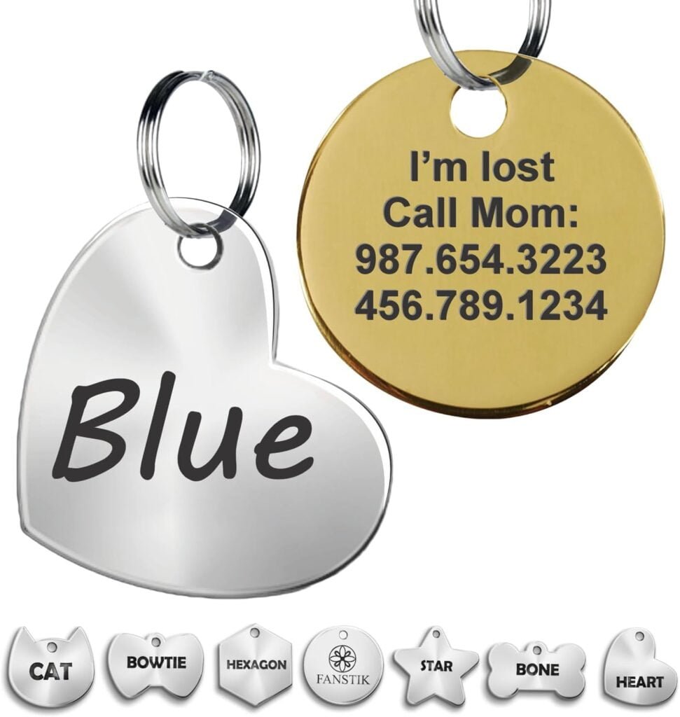 Engraved Pet ID Tag (Made in USA), Large Size, Customized Dog Tags, Personalized Cat Tags, Stainless Steel, Bronze Different Shapes Sizes and Design FANSTIK (ONLY Text)