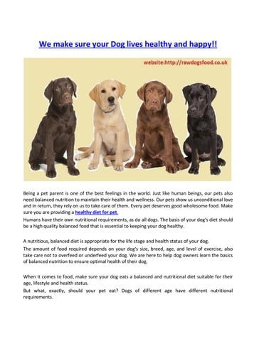 How Can Dog Owners Ensure Their Pets Health is Optimized? How Can Dog Owners Ensure Their Pets Health is Optimized?