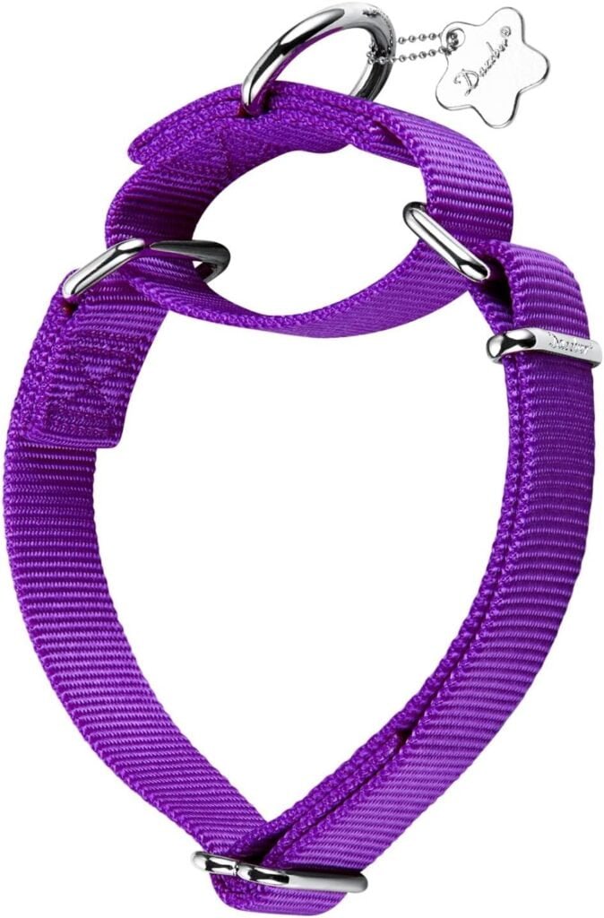 Martingale Collar with Metal Tags 2019 Design, Heavy Duty Nylon Dog Collar (Medium, 1 Inch Wide, Dark Orchid) Martingale Collar with Metal Tags 2019 Design, Heavy Duty Nylon Dog Collar (Medium, 1 Inch Wide, Dark Orchid)
