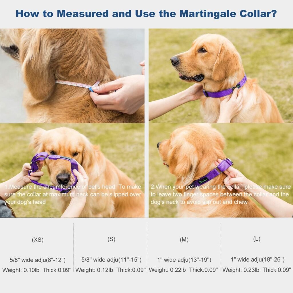 Martingale Collar with Metal Tags 2019 Design, Heavy Duty Nylon Dog Collar (Medium, 1 Inch Wide, Dark Orchid) Martingale Collar with Metal Tags 2019 Design, Heavy Duty Nylon Dog Collar (Medium, 1 Inch Wide, Dark Orchid)