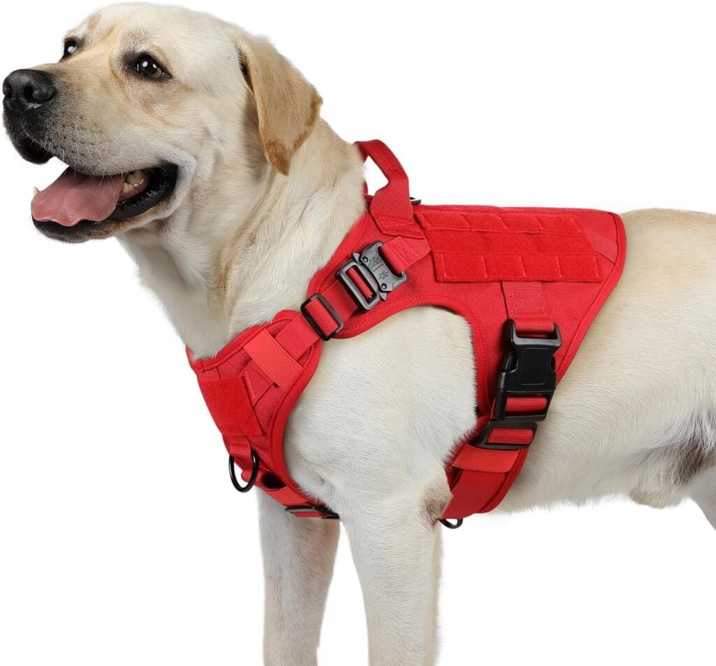 rabbitgoo Tactical Dog Harness for Large Dogs, Heavy Duty Dog Harness with Handle, No-Pull Service Dog Vest Large Breed, Adjustable Military Dog Vest Harness for Training Hunting Walking, Red, M rabbitgoo Tactical Dog Harness for Large Dogs, Heavy Duty Dog Harness with Handle, No-Pull Service Dog Vest Large Breed, Adjustable Military Dog Vest Harness for Training Hunting Walking, Red, M