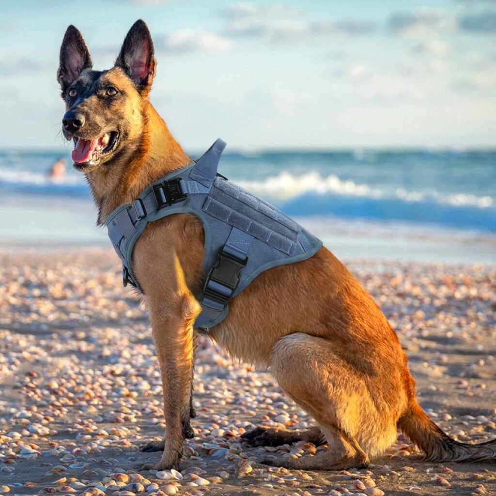 rabbitgoo Tactical Dog Harness for Large Dogs, Heavy Duty Dog Harness with Handle, No-Pull Service Dog Vest Large Breed, Adjustable Military Dog Vest Harness for Training Hunting Walking, Red, M rabbitgoo Tactical Dog Harness for Large Dogs, Heavy Duty Dog Harness with Handle, No-Pull Service Dog Vest Large Breed, Adjustable Military Dog Vest Harness for Training Hunting Walking, Red, M