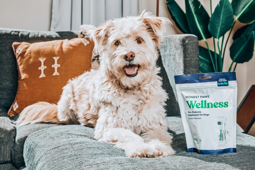 The Role of Probiotics in Your Dogs Digestive Health The Role of Probiotics in Your Dogs Digestive Health