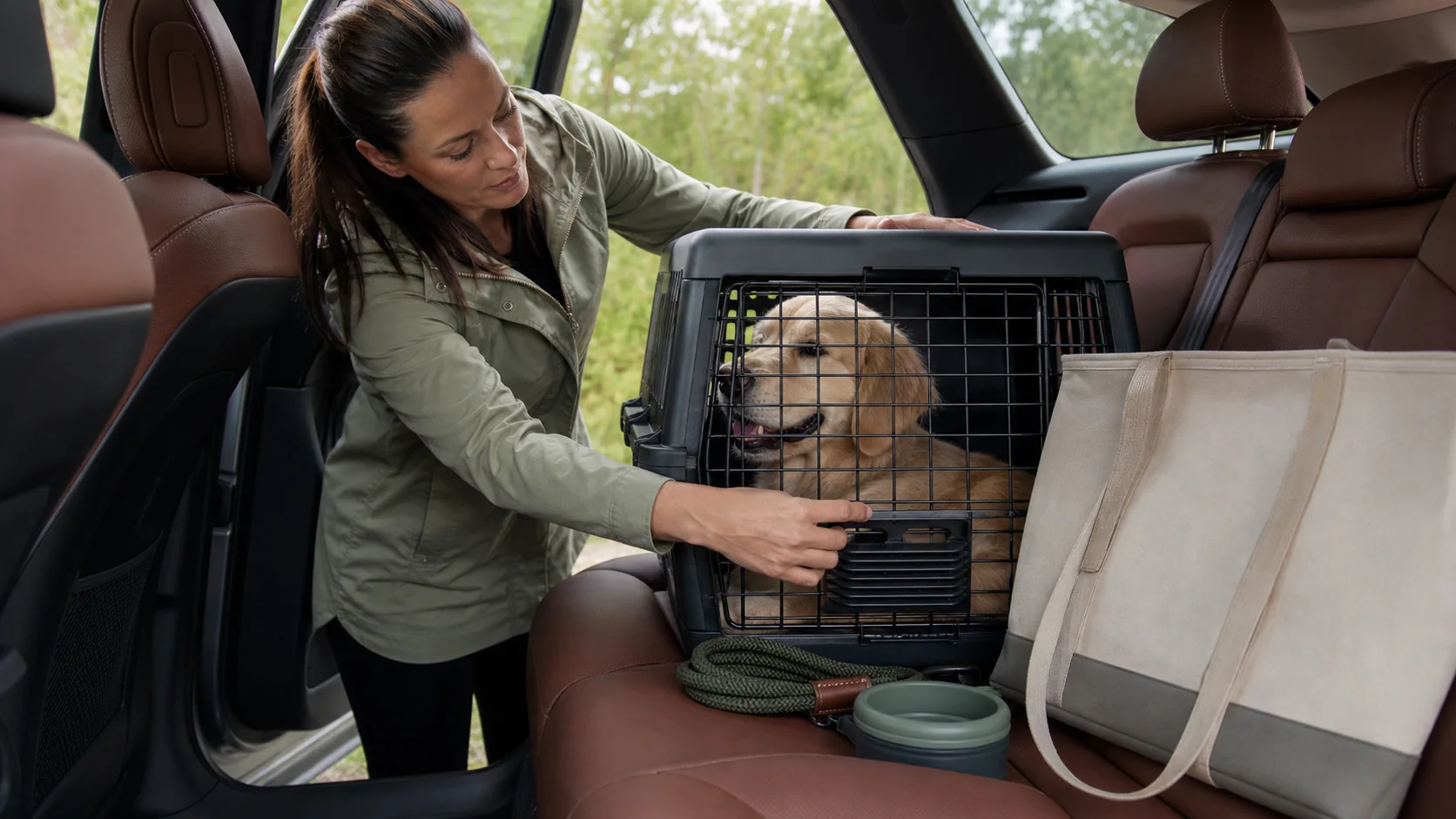 Healthy Paws Essentials scene illustrating car safety checklist for dogs