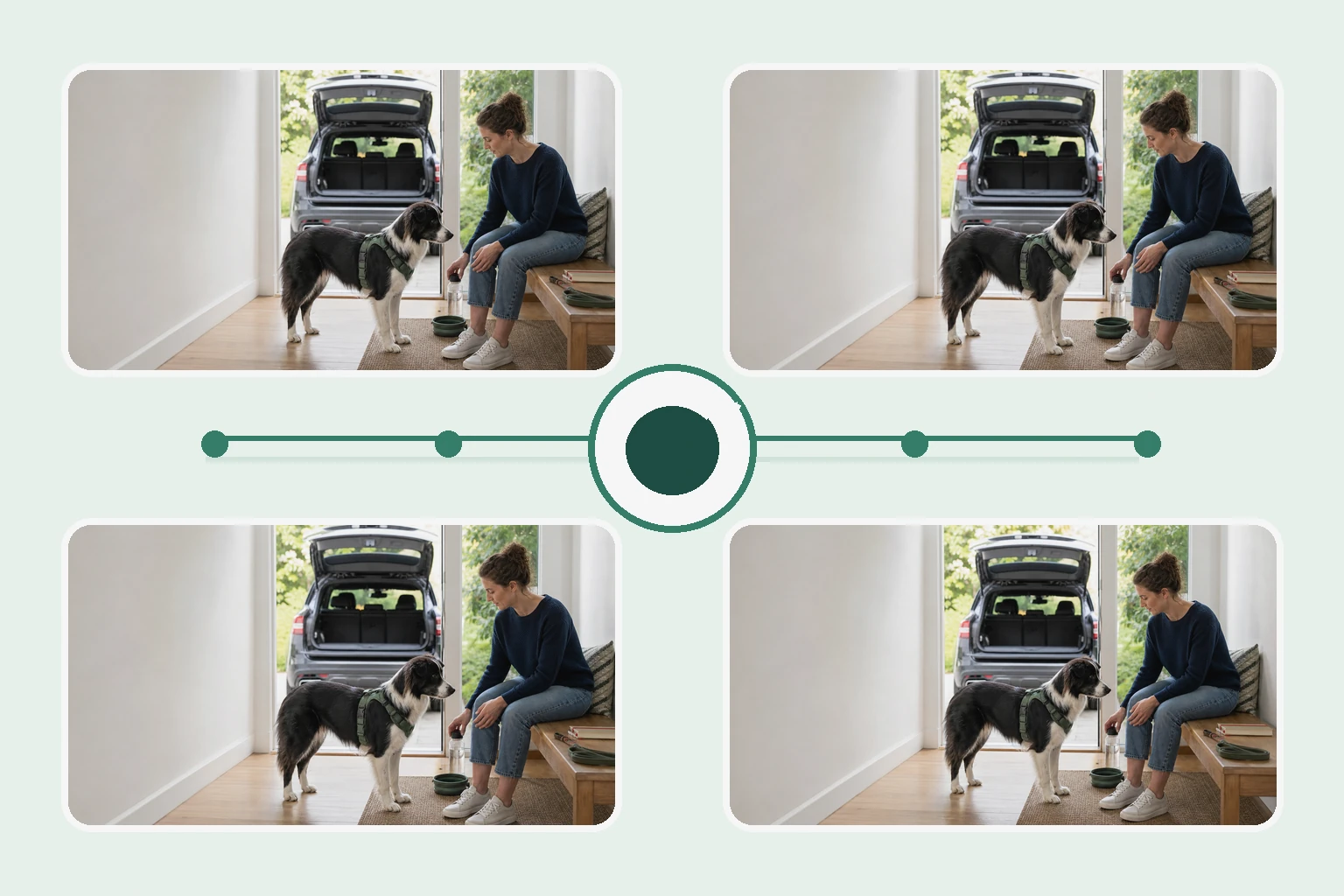 Illustrated owner guide for seasonal room-by-room home safety and wellness checklist for dogs with gut, joint, calming, and senior considerations