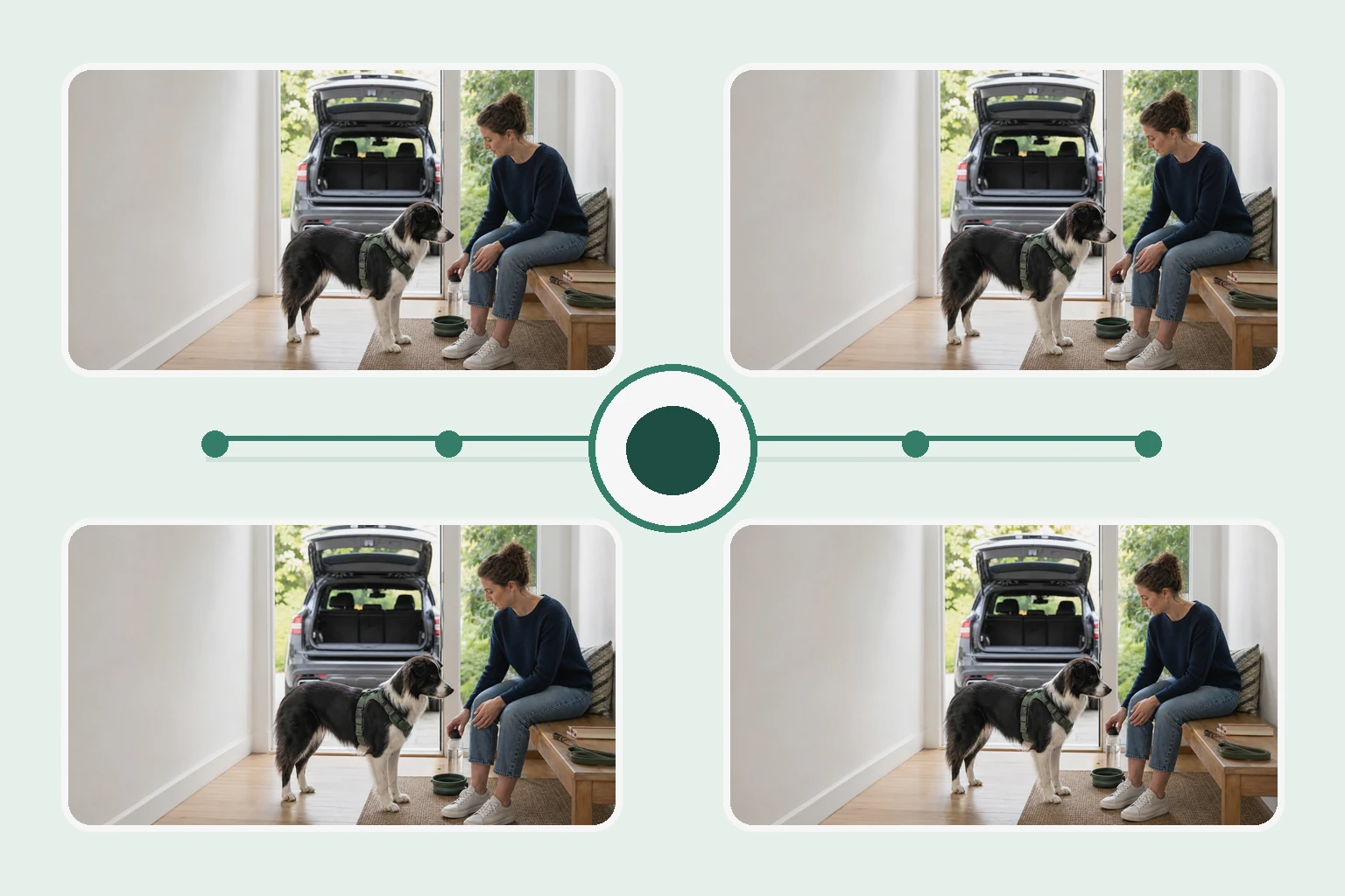 Illustrated owner guide for activity restriction vs controlled exercise for minor dog injuries