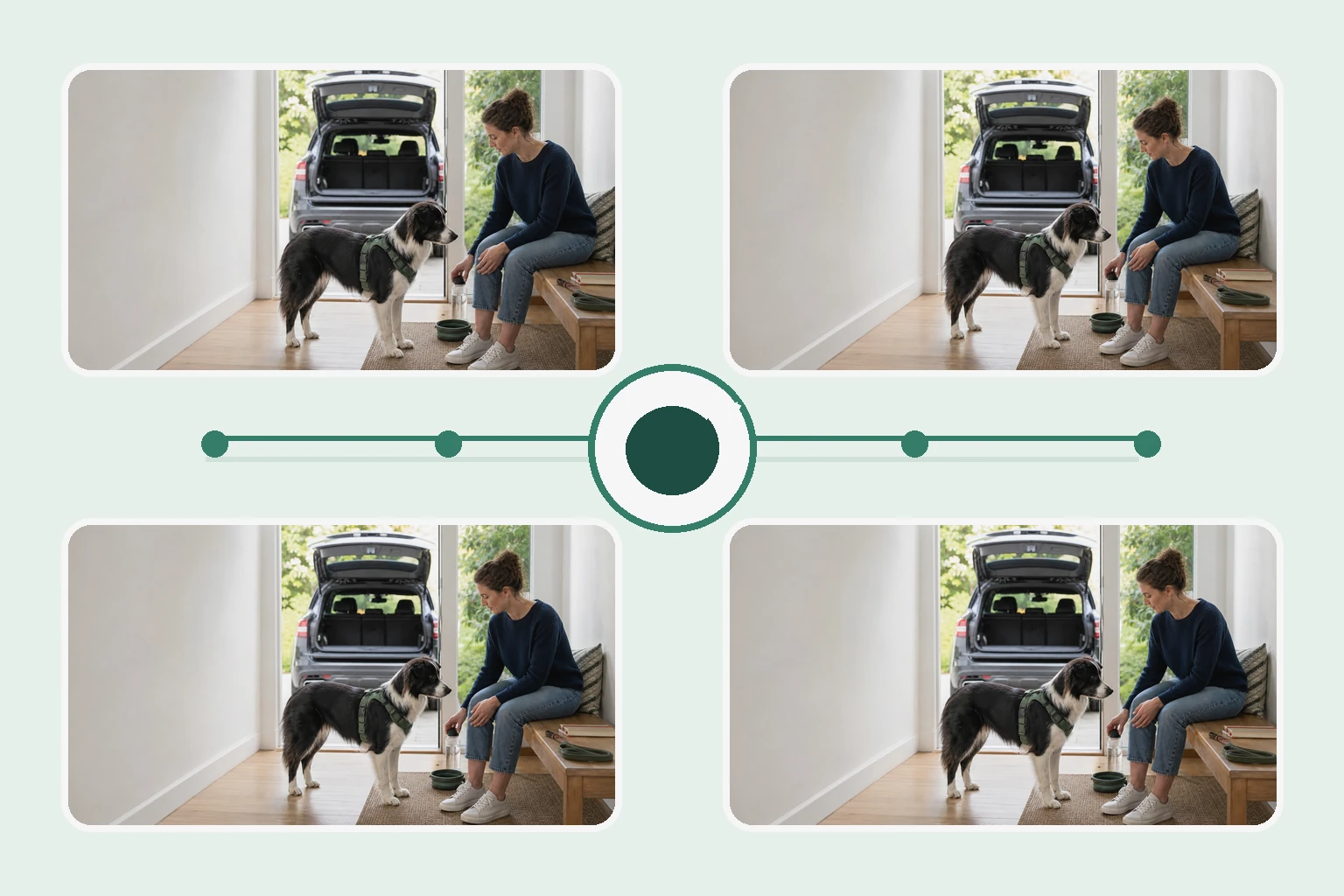 Illustrated owner guide for aligning seasonal events with gut, joint, calming, and dental routines for adult dogs