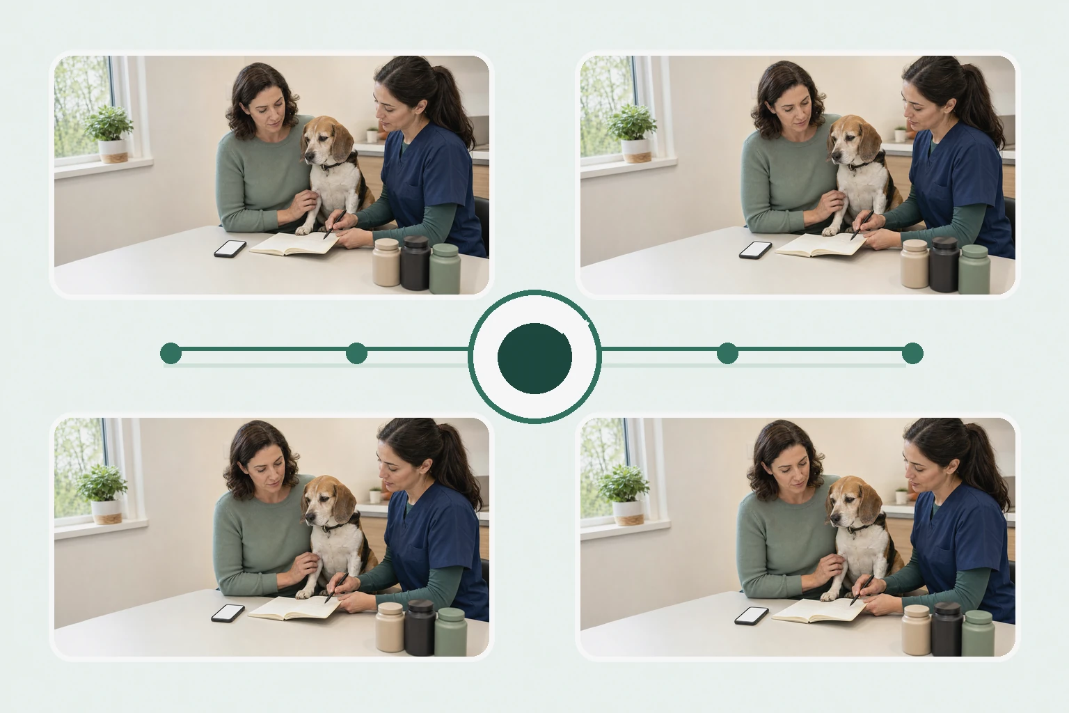 Illustrated owner guide for 14-day supplement and lifestyle reflection worksheet for dogs