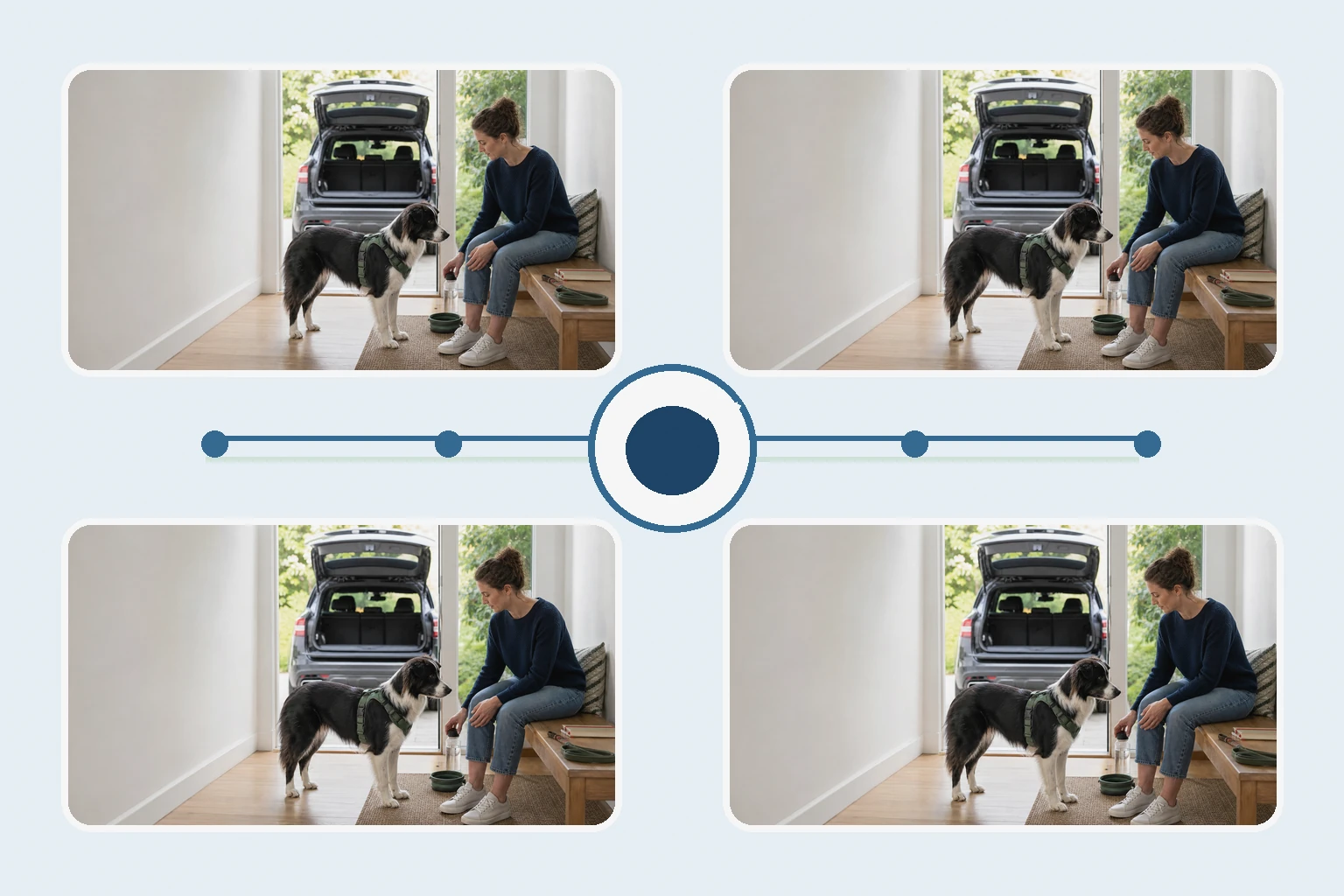 Illustrated owner guide for tracking joint comfort around travel and vacation weeks for adult dogs