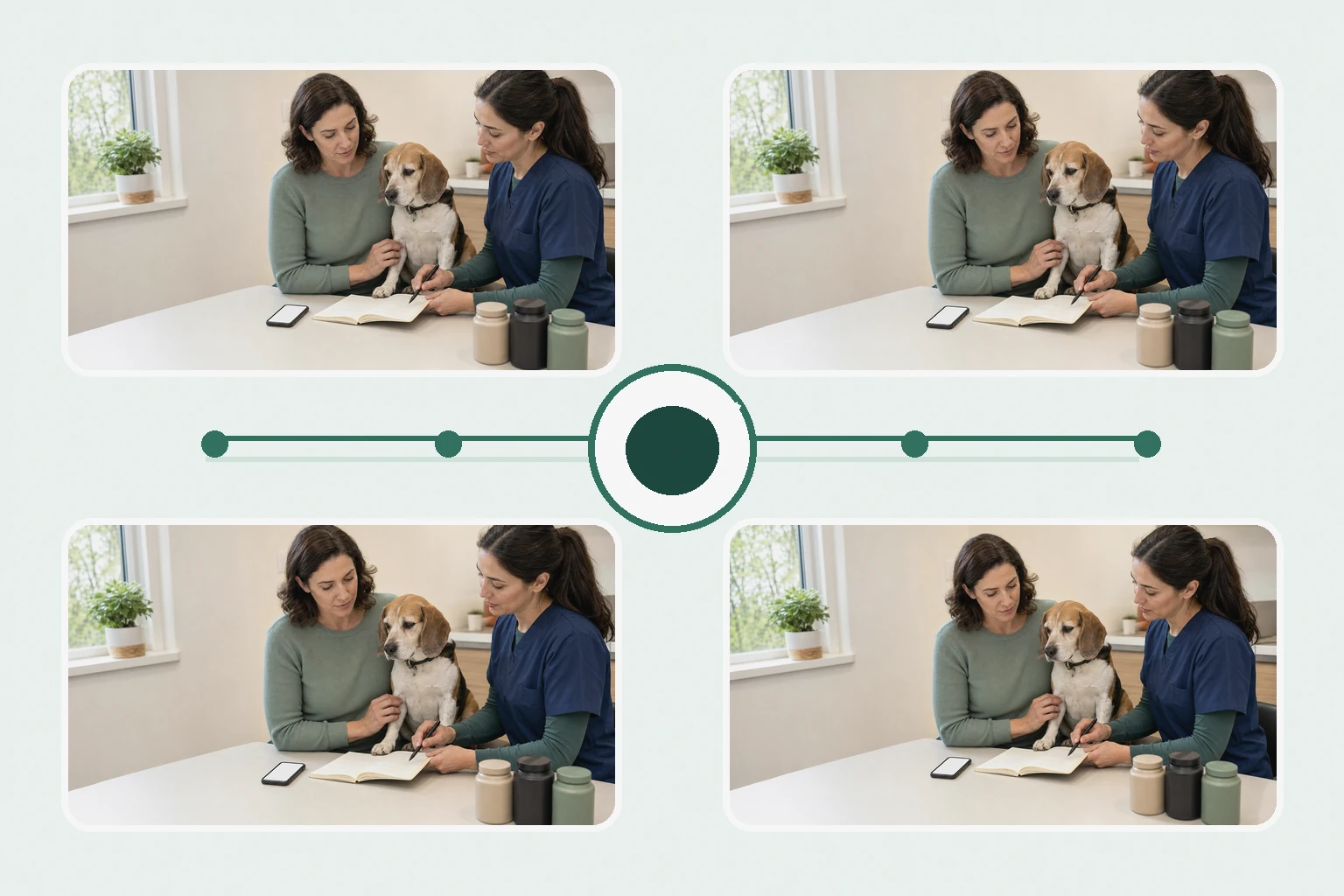Illustrated owner guide for lifestyle and season reflection worksheet for dog supplements by life stage