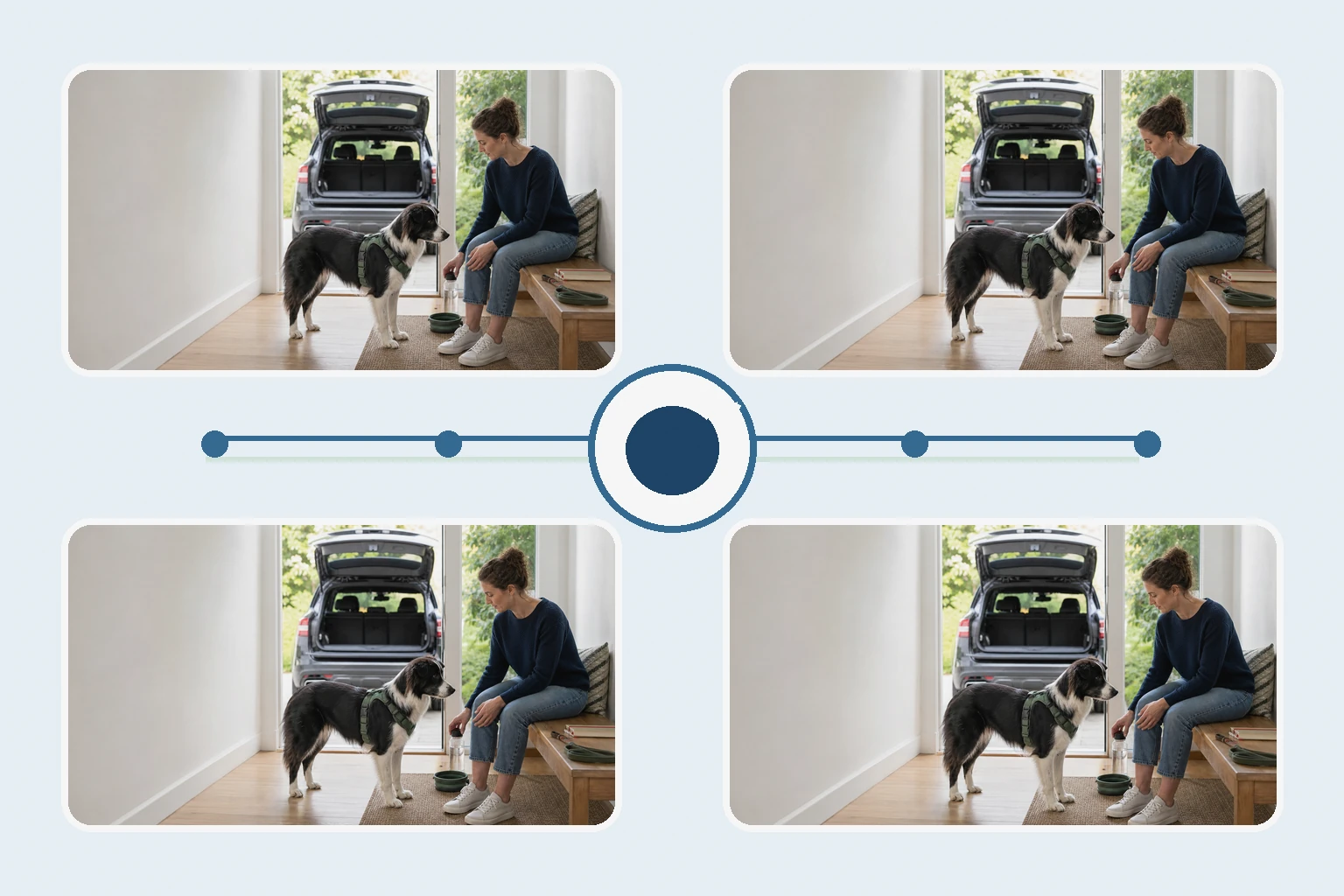 Illustrated owner guide for tracking joint comfort and mobility changes in adult dogs during irregular activity or travel weeks