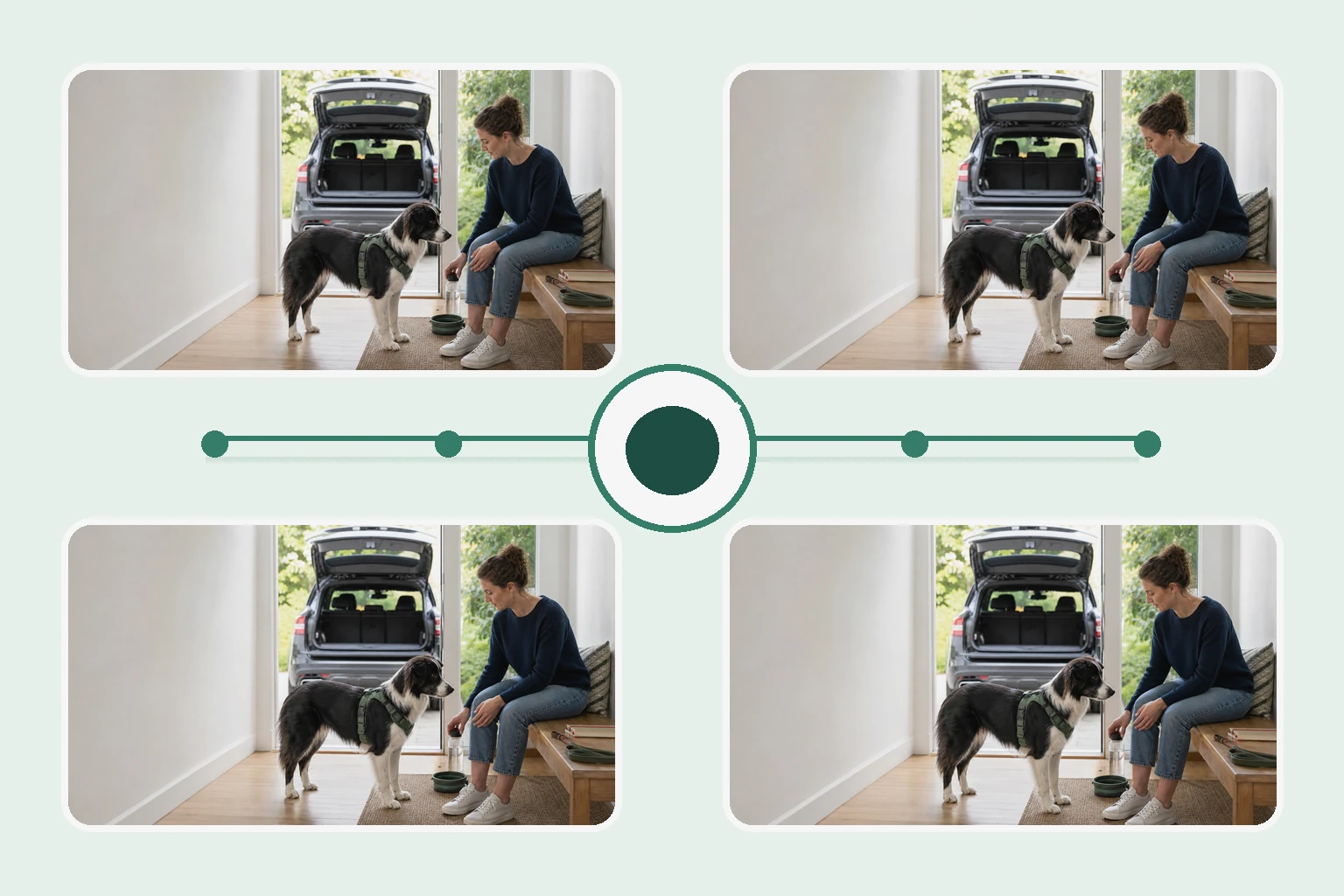 Illustrated owner guide for life-stage-primed home tracking framework for dog wellness and preventive care