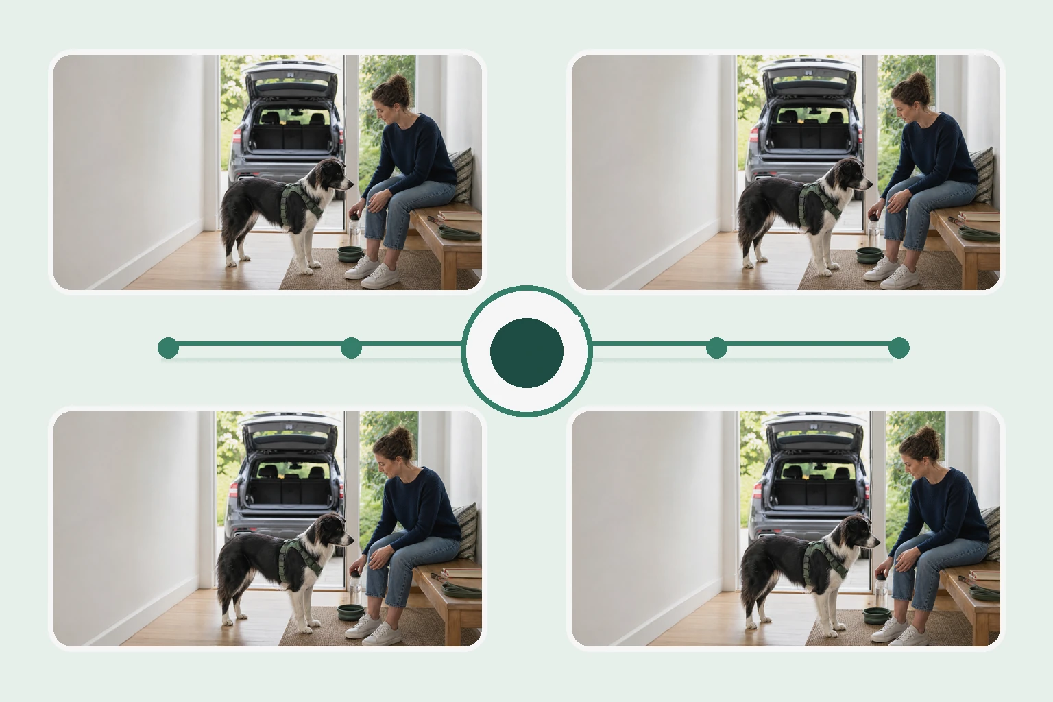 Illustrated owner guide for one-page life-stage preventive care tracking framework for dogs