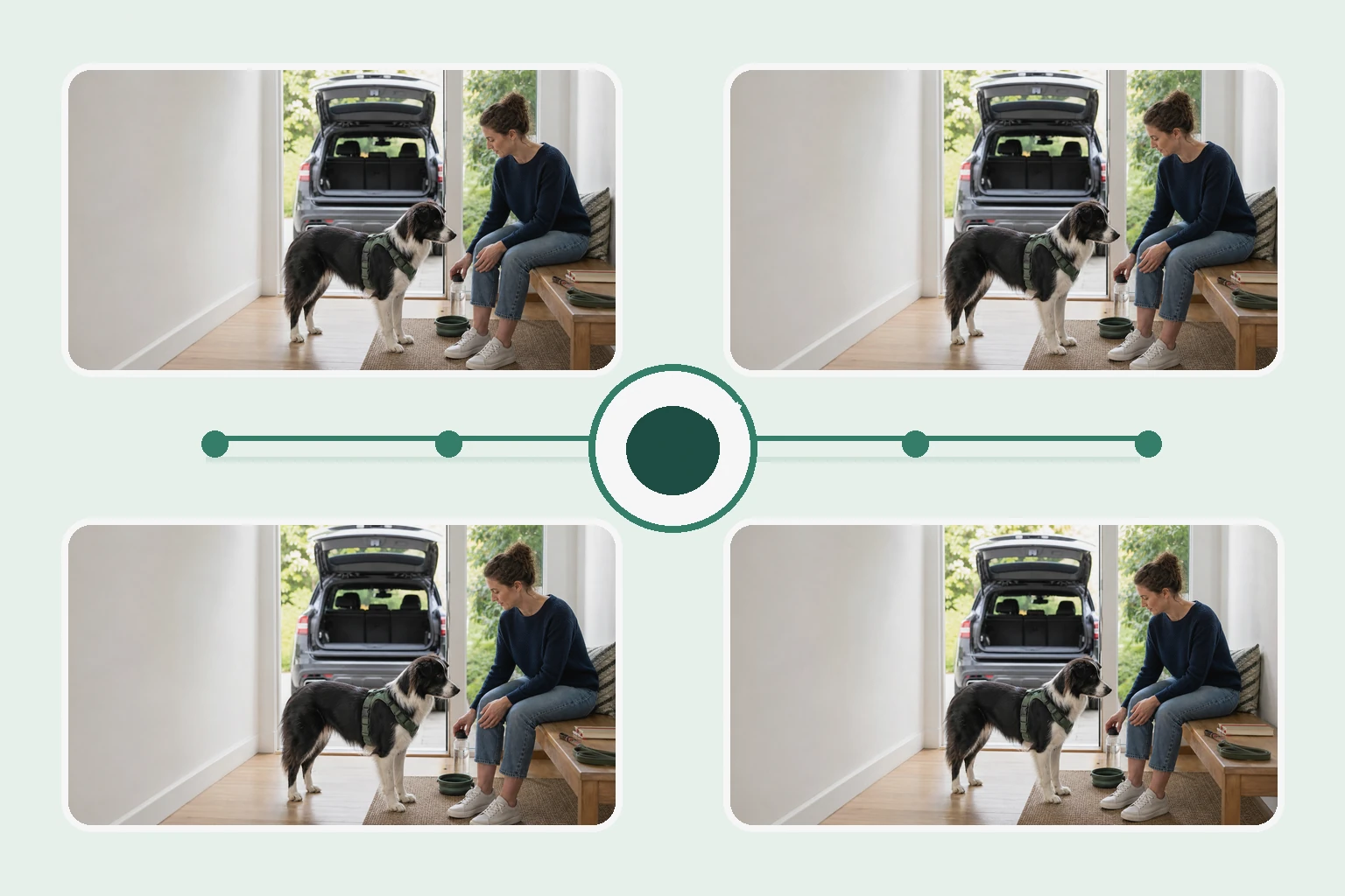 Illustrated owner guide for 90-day wellness and preventive care review framework for dogs at home