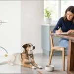 Dog resting near a bowl while an owner writes a digestive health observation log in a calm kitchen.
