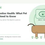 Custom Healthy Paws Essentials illustration for Dog Digestive Health: What Pet Owners Need to Know, showing a dog and a vet-first care planning concept.