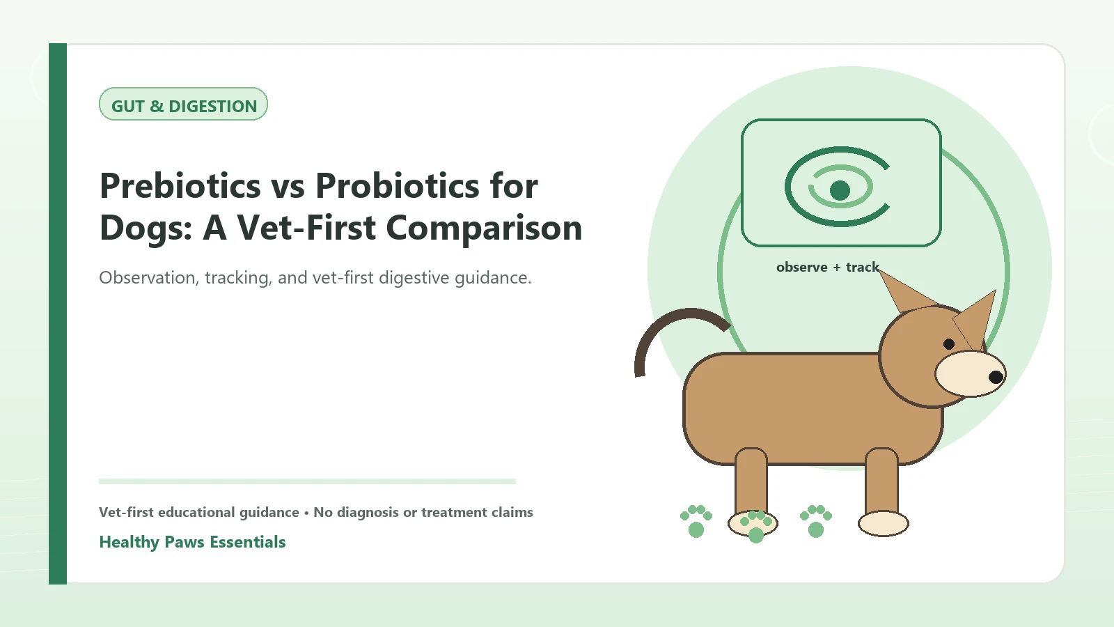 Custom Healthy Paws Essentials illustration for Prebiotics vs Probiotics for Dogs: A Vet-First Comparison, showing a dog and a vet-first care planning concept.