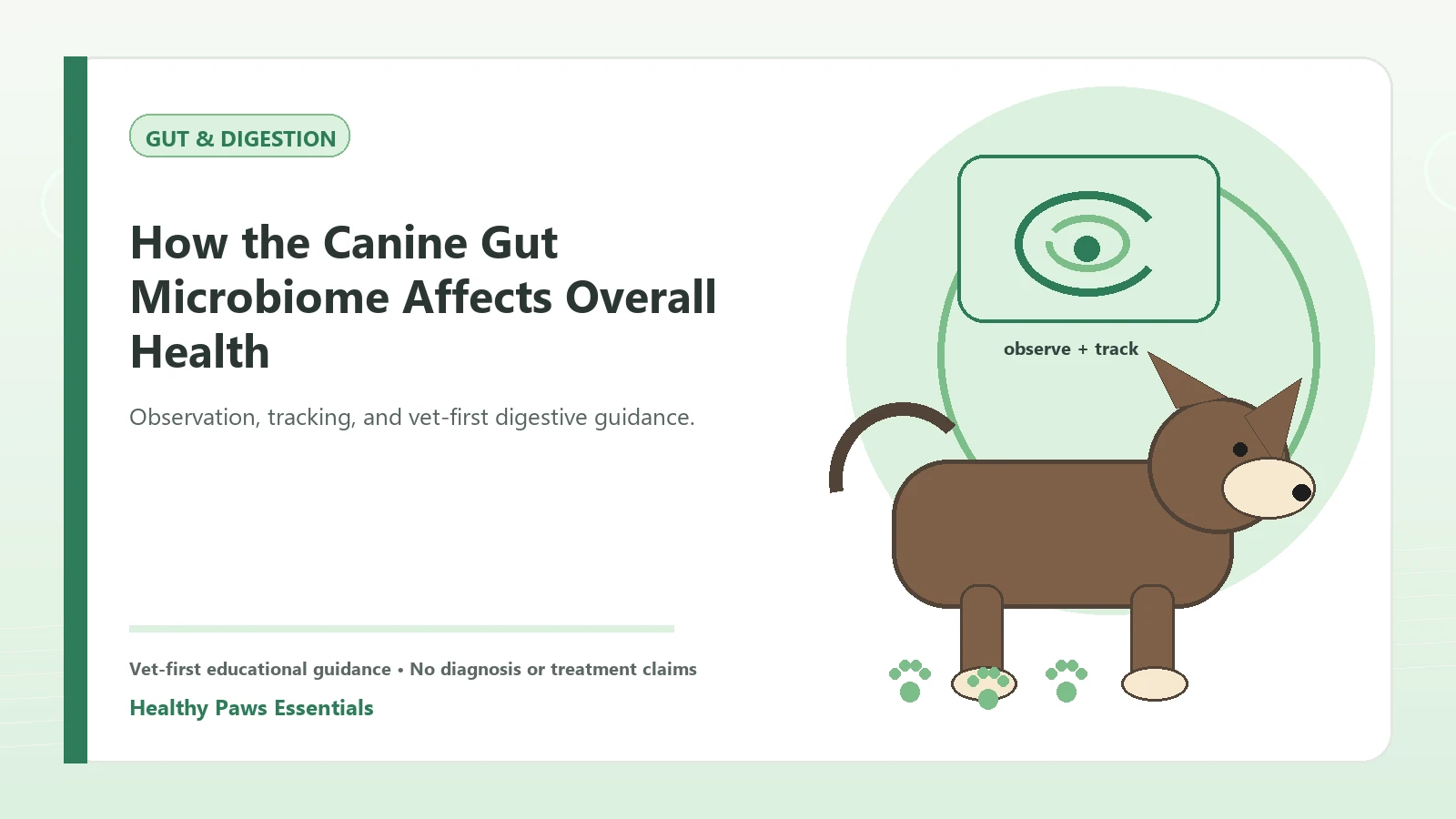 Custom Healthy Paws Essentials illustration for How the Canine Gut Microbiome Affects Overall Health, showing a dog and a vet-first care planning concept.