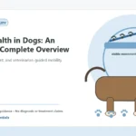 Custom Healthy Paws Essentials illustration for Joint Health in Dogs: An Owner's Complete Overview, showing a dog and a vet-first care planning concept.