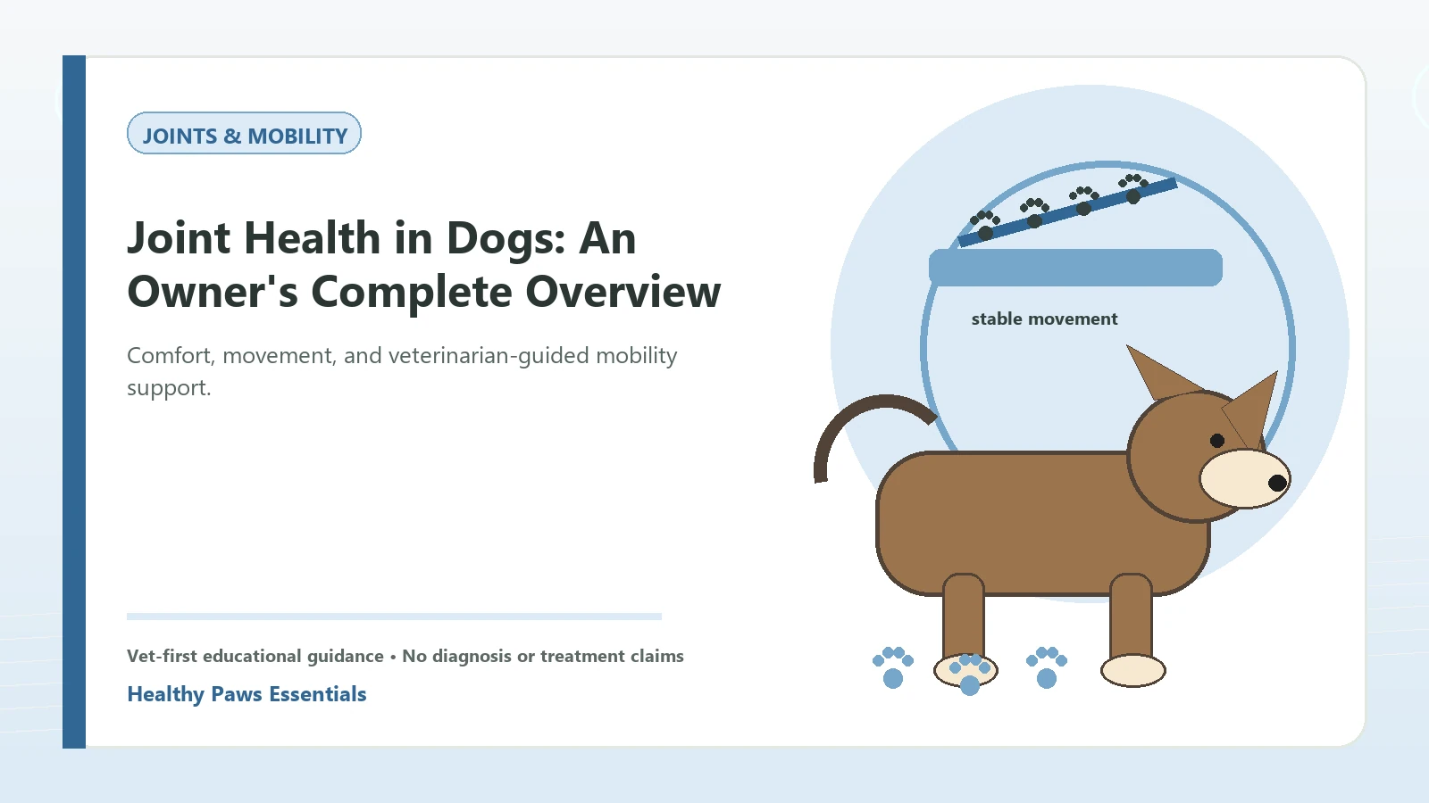 Custom Healthy Paws Essentials illustration for Joint Health in Dogs: An Owner's Complete Overview, showing a dog and a vet-first care planning concept.