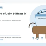 Custom Healthy Paws Essentials illustration for Early Signs of Joint Stiffness in Dogs, showing a dog and a vet-first care planning concept.
