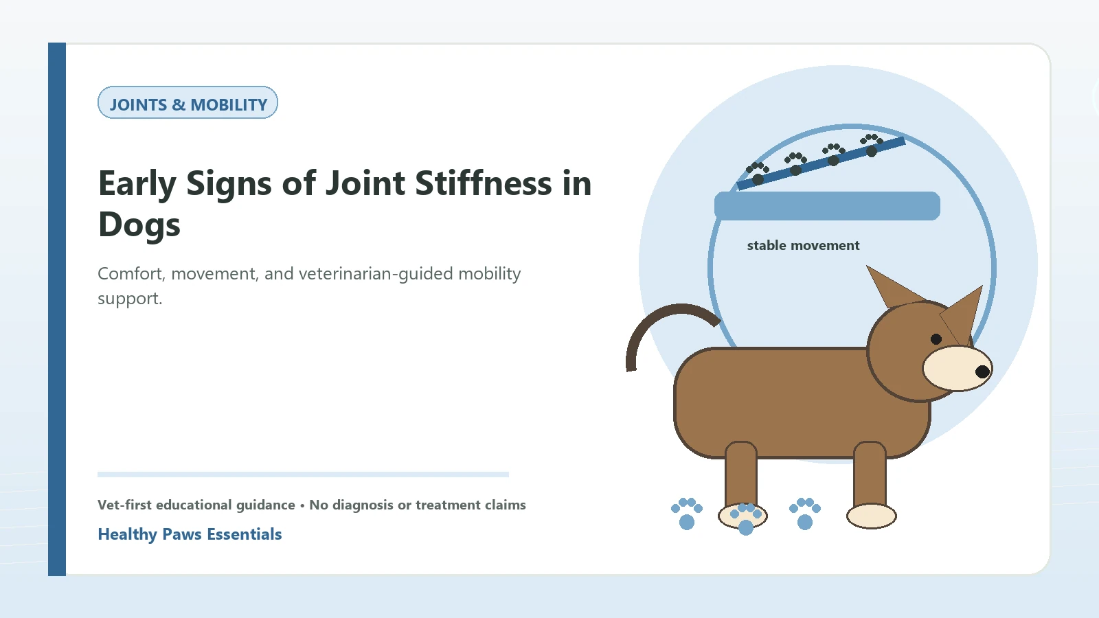 Custom Healthy Paws Essentials illustration for Early Signs of Joint Stiffness in Dogs, showing a dog and a vet-first care planning concept.