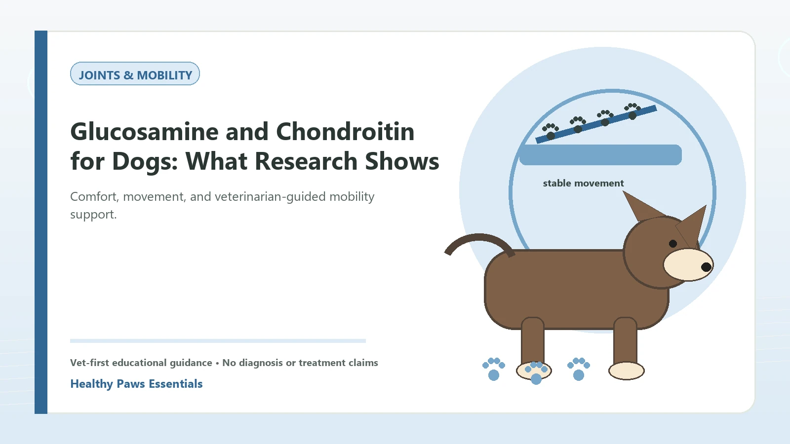 Custom Healthy Paws Essentials illustration for Glucosamine and Chondroitin for Dogs: What Research Shows, showing a dog and a vet-first care planning concept.