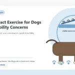 Custom Healthy Paws Essentials illustration for Low-Impact Exercise for Dogs with Mobility Concerns, showing a dog and a vet-first care planning concept.