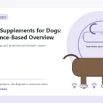 Custom Healthy Paws Essentials illustration for Calming Supplements for Dogs: An Evidence-Based Overview, showing a dog and a vet-first care planning concept.