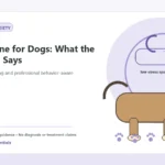 Custom Healthy Paws Essentials illustration for L-Theanine for Dogs: What the Research Says, showing a dog and a vet-first care planning concept.