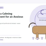 Custom Healthy Paws Essentials illustration for Creating a Calming Environment for an Anxious Dog, showing a dog and a vet-first care planning concept.