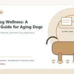 Custom Healthy Paws Essentials illustration for Senior Dog Wellness: A Vet-First Guide for Aging Dogs, showing a dog and a vet-first care planning concept.