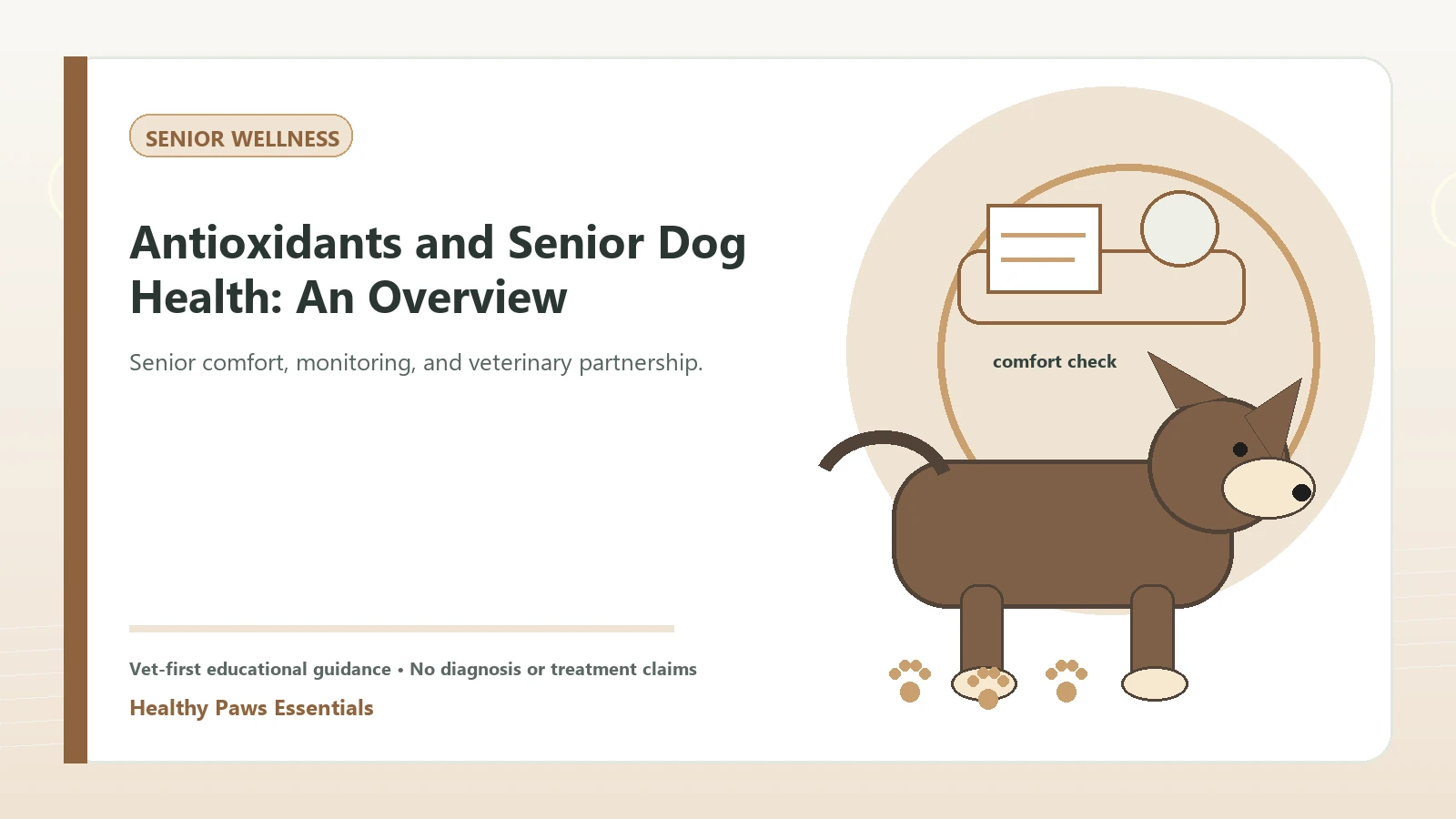 Custom Healthy Paws Essentials illustration for Antioxidants and Senior Dog Health: An Overview, showing a dog and a vet-first care planning concept.