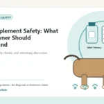Custom Healthy Paws Essentials illustration for Dog Supplement Safety: What Every Owner Should Understand, showing a dog and a vet-first care planning concept.