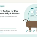 Custom Healthy Paws Essentials illustration for Third-Party Testing for Dog Supplements: Why It Matters, showing a dog and a vet-first care planning concept.