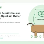 Custom Healthy Paws Essentials illustration for Dog Food Sensitivities and Digestive Upset: An Owner Overview, showing a dog and a vet-first care planning concept.