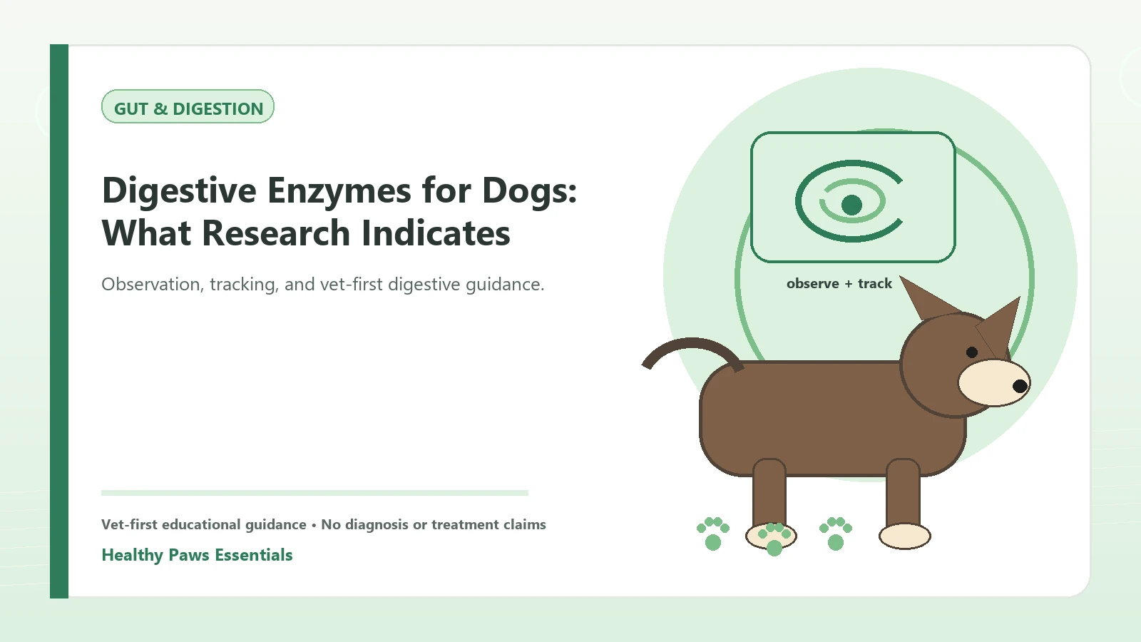 Custom Healthy Paws Essentials illustration for Digestive Enzymes for Dogs: What Research Indicates, showing a dog and a vet-first care planning concept.