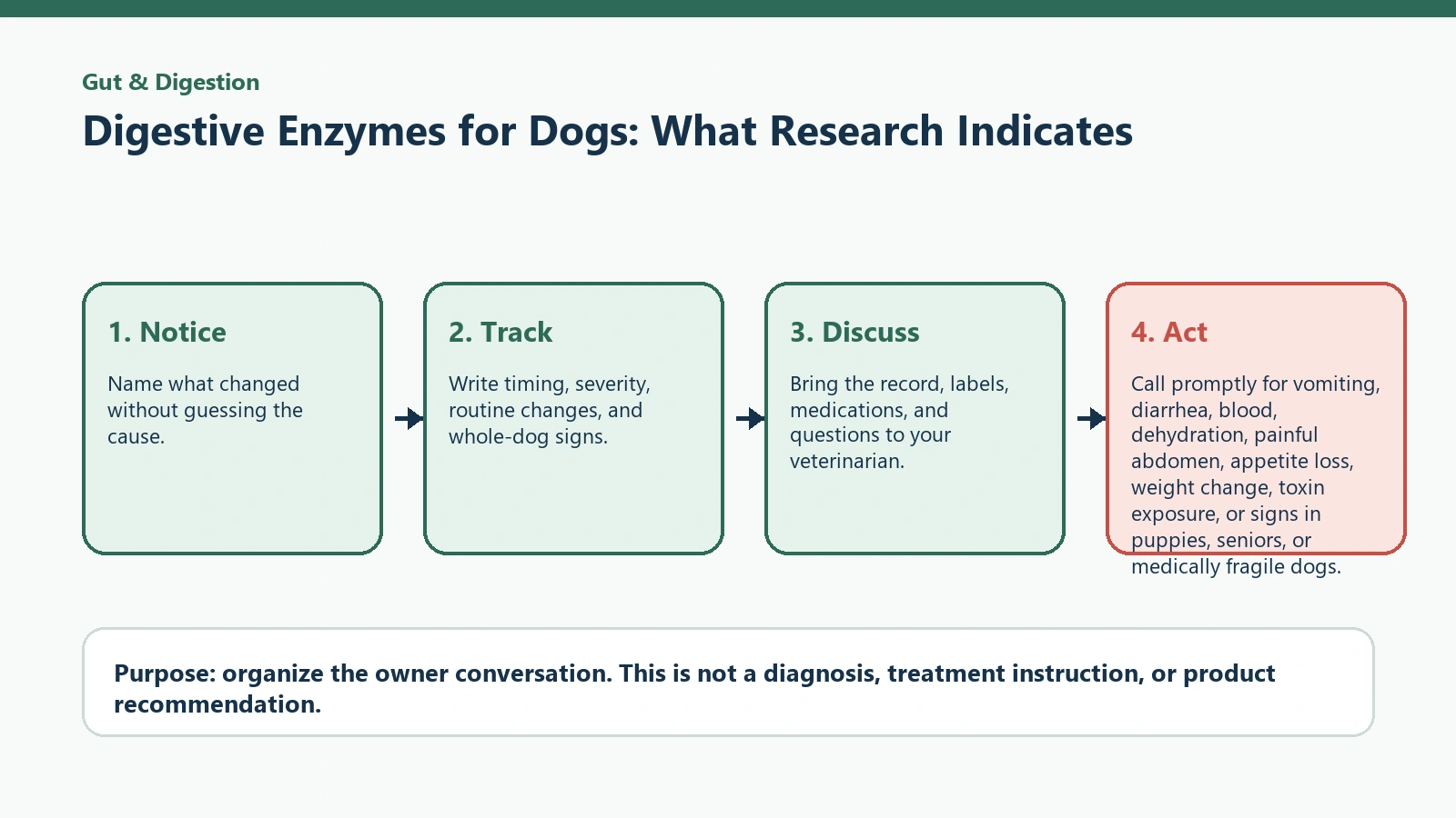 Decision pathway for Digestive Enzymes for Dogs: What Research Indicates.