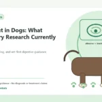 Custom Healthy Paws Essentials illustration for Leaky Gut in Dogs: What Veterinary Research Currently Says, showing a dog and a vet-first care planning concept.
