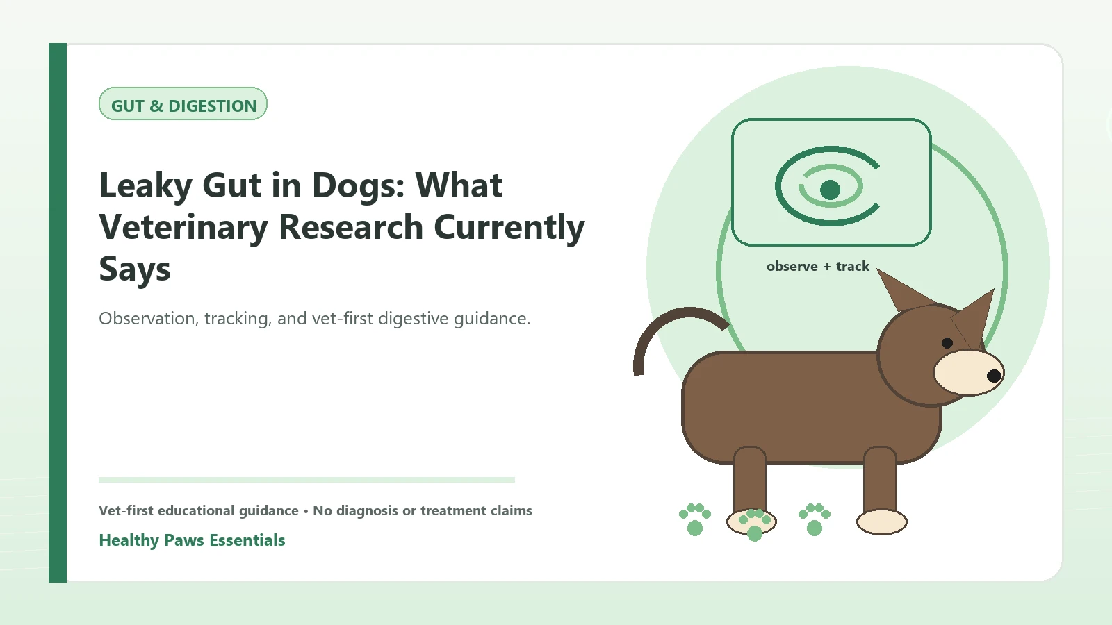 Custom Healthy Paws Essentials illustration for Leaky Gut in Dogs: What Veterinary Research Currently Says, showing a dog and a vet-first care planning concept.