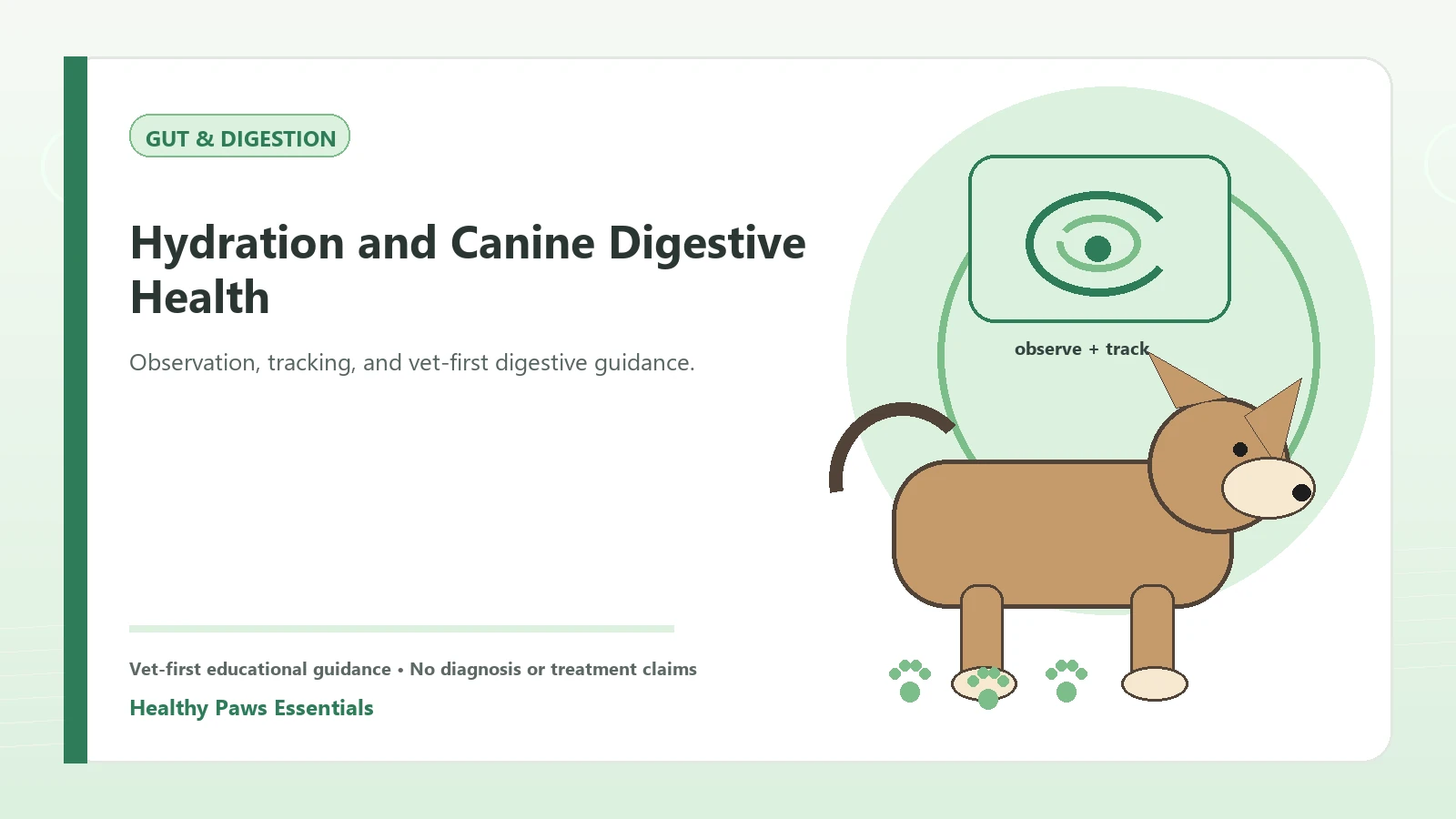 Custom Healthy Paws Essentials illustration for Hydration and Canine Digestive Health, showing a dog and a vet-first care planning concept.