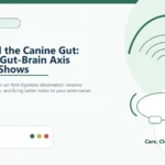 Custom Healthy Paws Essentials hero and featured illustration for Stress and the Canine Gut: What the Gut-Brain Axis Research Shows, showing calm vet-first dog care planning.