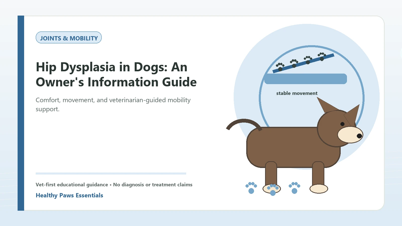 Custom Healthy Paws Essentials illustration for Hip Dysplasia in Dogs: An Owner's Information Guide, showing a dog and a vet-first care planning concept.