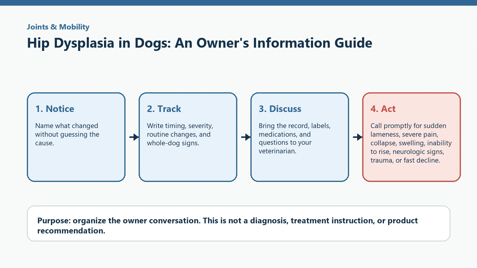 Decision pathway for Hip Dysplasia in Dogs: An Owner's Information Guide.