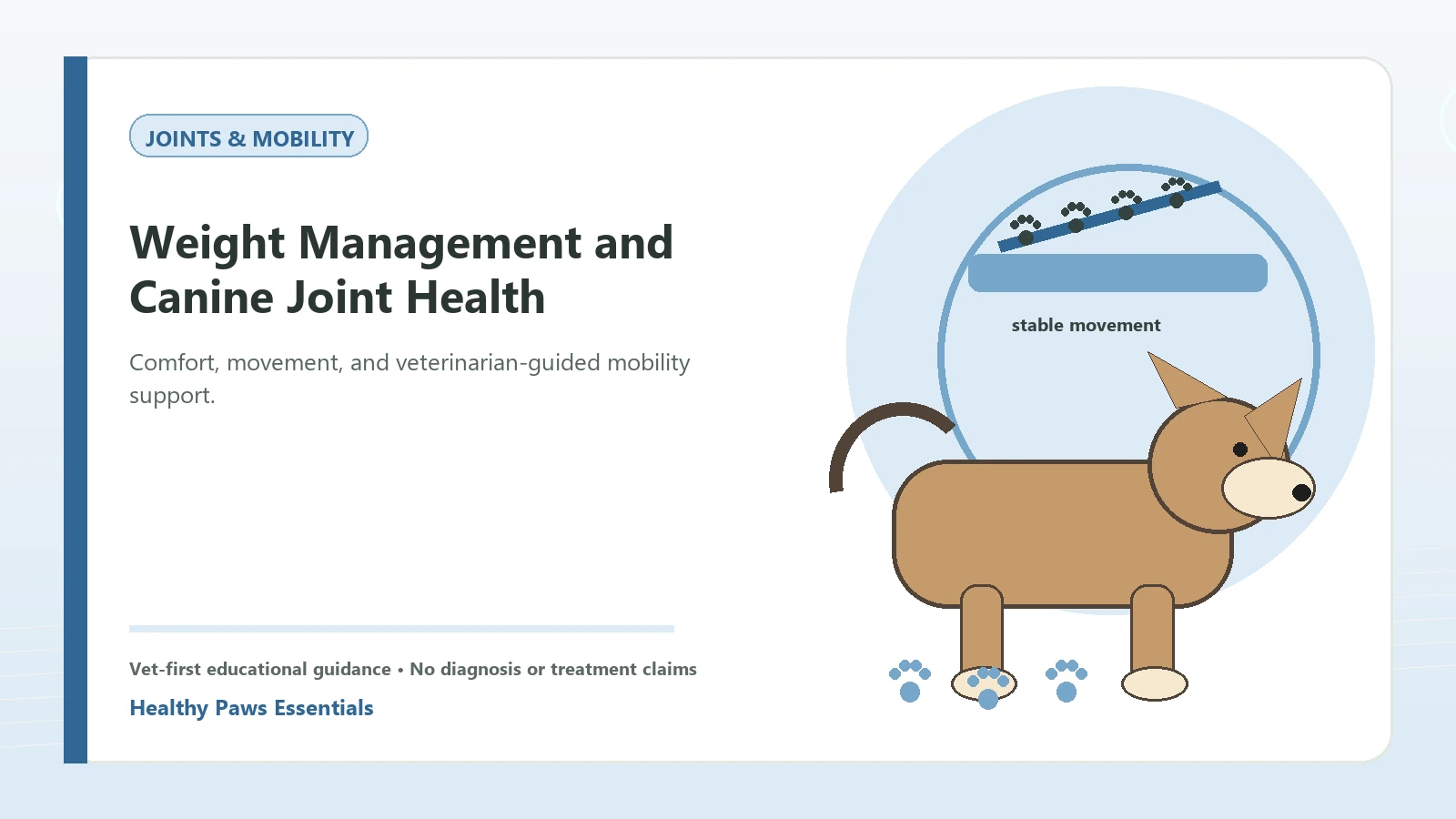 Custom Healthy Paws Essentials illustration for Weight Management and Canine Joint Health, showing a dog and a vet-first care planning concept.