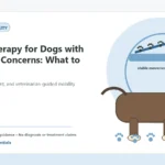 Custom Healthy Paws Essentials illustration for Hydrotherapy for Dogs with Mobility Concerns: What to Know, showing a dog and a vet-first care planning concept.